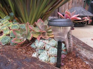 Illustration for article titled Lighting the Yard